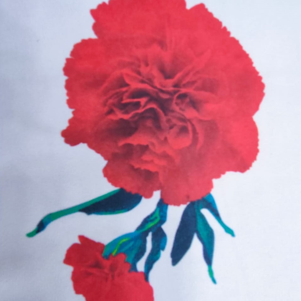 Carnation Love Print On Royal Georgette Fabric