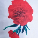 Carnation Love Print On Royal Georgette Fabric