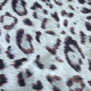 Print On Silky Satin Fabric#12