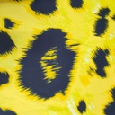 Print On Silky Satin Fabric#09