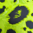 Print On Silky Satin Fabric#10