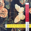 Chiffon Lurex Stripe Light Peach Dragonfly Print