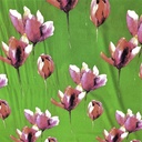 Flying Tulips (Pink) Print On Snake Crepe Fabric