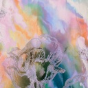 Print On Silky Satin Fabric#53