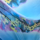 Print On Poly Flat Chiffon Woven Fabric#75