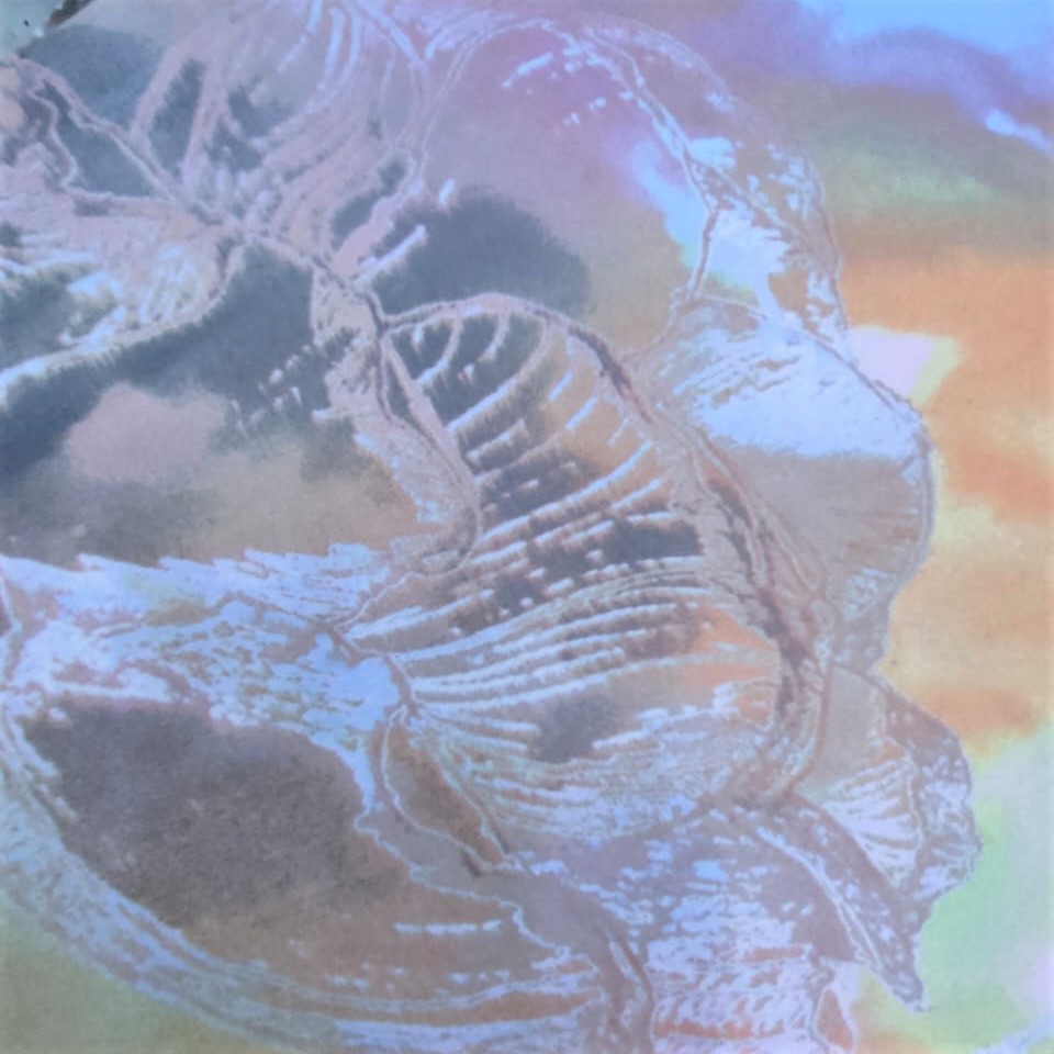 Print On Poly Flat Chiffon Woven Fabric#77