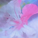 Print On Poly Flat Chiffon Woven Fabric#78