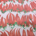Print On Poly Flat Chiffon Woven Fabric#85