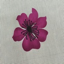 Black Dots & Dark Pink Flower Print On Georgette