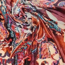 Multicolor Printed Velvet Brasoo Fabric#02