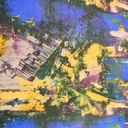 Print On Silk Chiffon#17