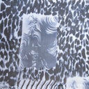 Print On Silk Chiffon #132