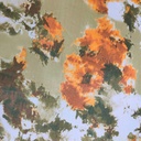Print On Silk Chiffon#174