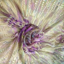 Print On Silk Flat#04