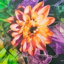 Print On Silk Georgette#04