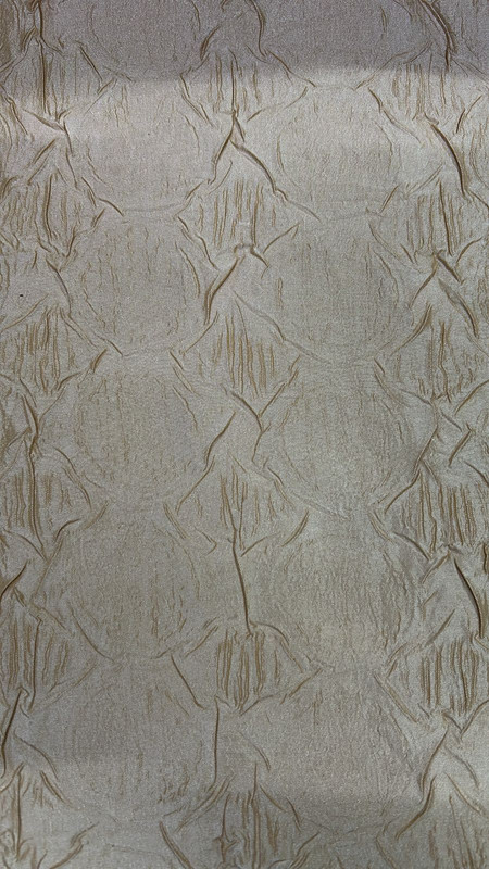 Print On Poly Taffeta (SS25) FFFS33