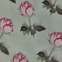 Green Base Garden Print On Organza SS22A ORPA41