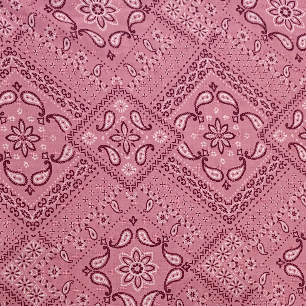 Pink Base Paisley Print On Rayon Jaquard S24 RJPS02
