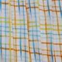 Rainbow Check Print On Royal Georgette (SS2N) RGPB108