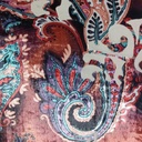 Brown Paisley Print On Silk Velvet Braso