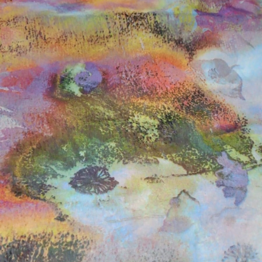 Print On Flat Chiffon FCPS41