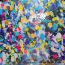 Brush Print On Flat Chiffon FCPS07