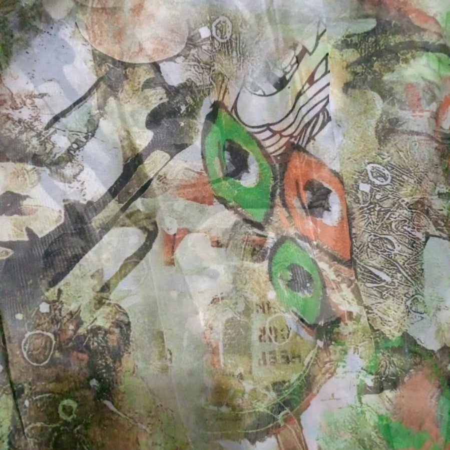 Eye Print On Flat Chiffon FCPS08