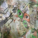 Eye Print On Flat Chiffon FCPS08