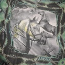 Green Base House Print On Habutai Satin S24 HSPS19