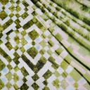 Print On Habutai Satin S24 HSPS89