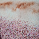 Border Flower Print On Flat Chiffon FCPS141