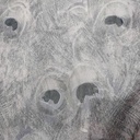 Peacock Fur Print On Flat Chiffon FCPS137