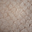 Check Pin Tuck Prints On Embroidered Taffeta ETPS12