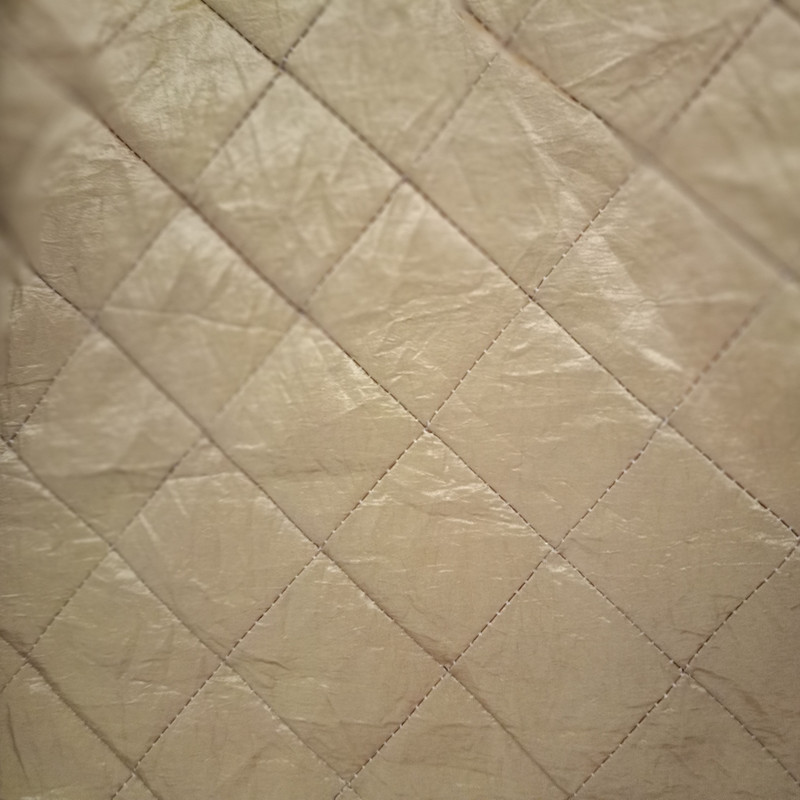 Golden Pin Tuck Prints On Embroidered Taffeta ETPS16