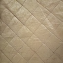 Golden Pin Tuck Prints On Embroidered Taffeta ETPS16