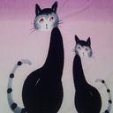 Cat Print On Poly Knitted S24 PKPS08