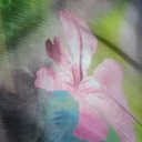 Pond Flower Print On Korean Satin (SS24) KSPS63