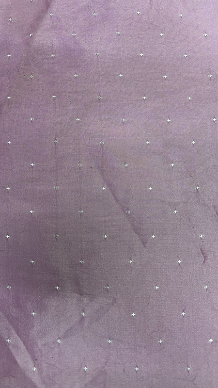 Polt Taffeta Dobby Plain Dyed Fabric (SS25) SFDS93