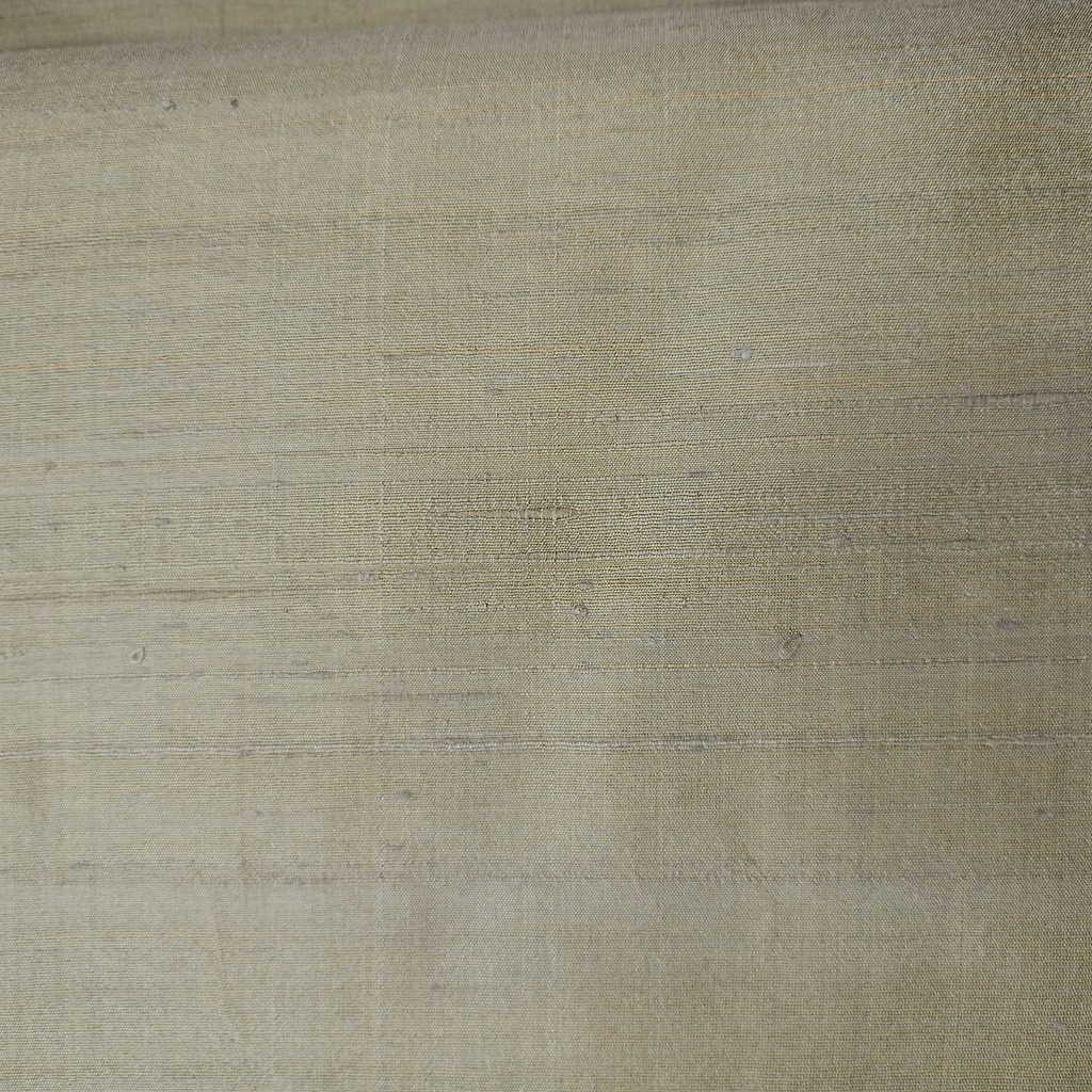 Raw Silk Dyed Fabric (SS25) NPCS02