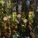 Gola Sequins (Green Big)