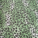 Green & White Leopard Print On Roberto Cavalli  RCPS15