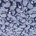 Ethnic Seamless Print On Royal Georgette (SS20) RGPS06