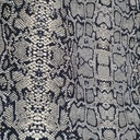 Eastern Rat Snake Print On Roberto Cavalli  RCPS34