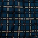 Blue Check Print On Twill Satin (SS24) TSPS04