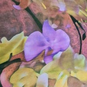 Ocean Floral Print On Silk Chiffon S23-SCPS176