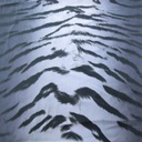 Print On Flat Chiffon FCPS263