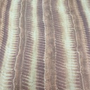 Print On Flat Chiffon FCPS183