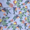 Fruit Print On Flat Chiffon FCPS116