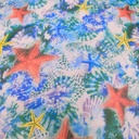 Print On Flat Chiffon FCPS260