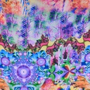 Print On Flat Chiffon FCPS269